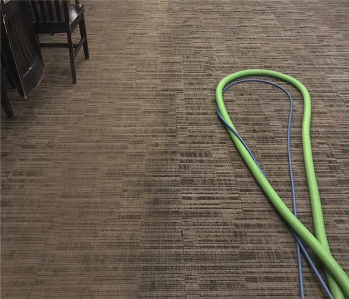 Commercial carpets during cleaning.