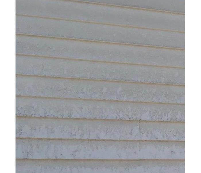 White siding with microbial growth