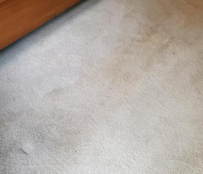 Stain on carpet from water damage